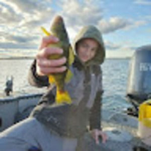 Meet your Posher, Benjamin